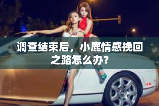 调查结束后，小鹿情感挽回之路怎么办？