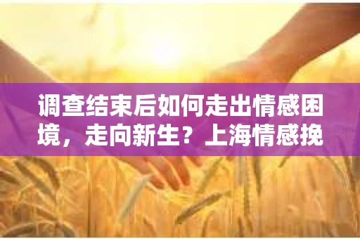 调查结束后如何走出情感困境，走向新生？上海情感挽回婚姻公司给出的专业建议