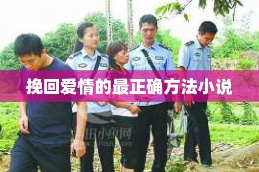 挽回爱情的最正确方法小说