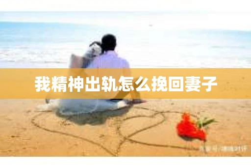 我精神出轨怎么挽回妻子