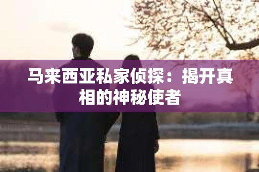 马来西亚私家侦探：揭开真相的神秘使者