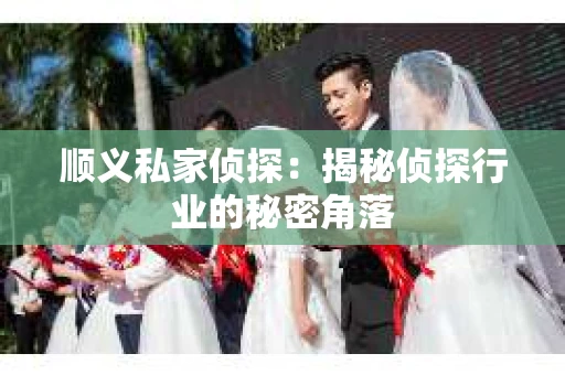 顺义私家侦探：揭秘侦探行业的秘密角落