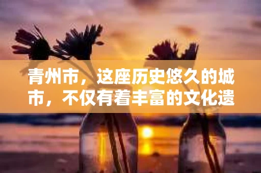 青州市，这座历史悠久的城市，不仅有着丰富的文化遗产，也有着现代生活的便捷。那么，问题来了——青州市有私家侦探公司吗？这个问题，对于需要侦探服务的人来说，无疑至关重要。接下来，我就来为大家揭开这个谜底。