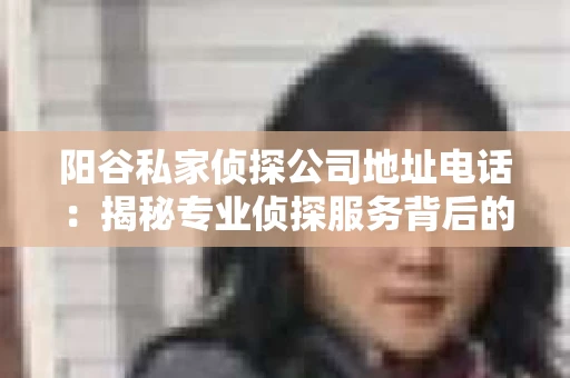阳谷私家侦探公司地址电话：揭秘专业侦探服务背后的故事