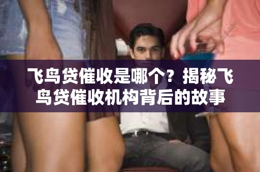 飞鸟贷催收是哪个？揭秘飞鸟贷催收机构背后的故事