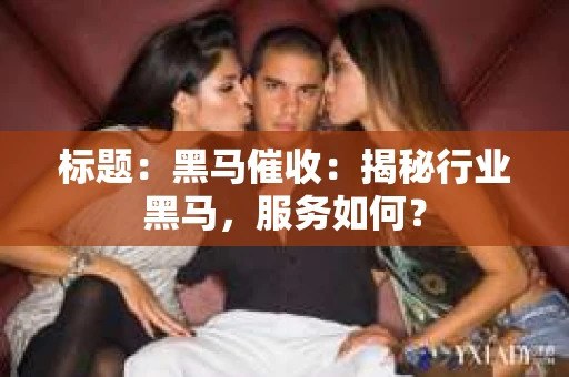 标题：黑马催收：揭秘行业黑马，服务如何？