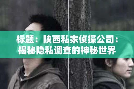 标题：陕西私家侦探公司：揭秘隐私调查的神秘世界