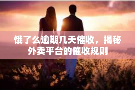 饿了么逾期几天催收，揭秘外卖平台的催收规则