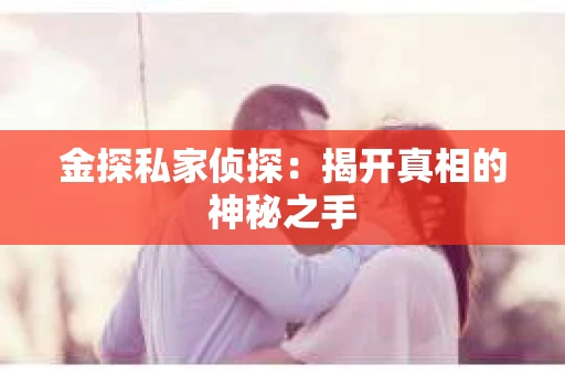 金探私家侦探：揭开真相的神秘之手
