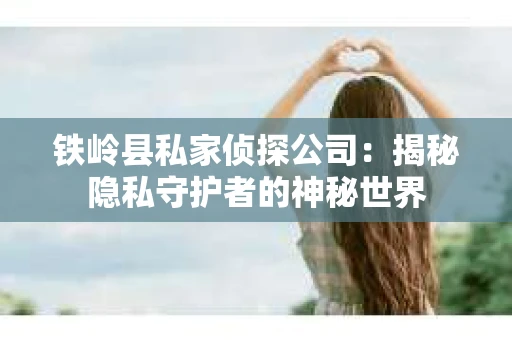 铁岭县私家侦探公司：揭秘隐私守护者的神秘世界