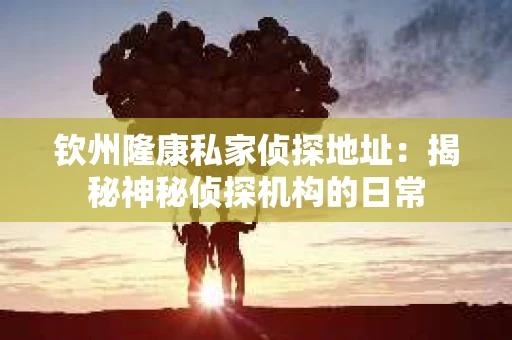 钦州隆康私家侦探地址：揭秘神秘侦探机构的日常