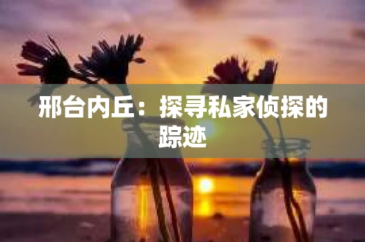 邢台内丘：探寻私家侦探的踪迹