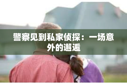 警察见到私家侦探：一场意外的邂逅
