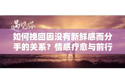 如何挽回因没有新鲜感而分手的关系？情感疗愈与前行计划