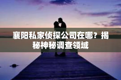 襄阳私家侦探公司在哪？揭秘神秘调查领域