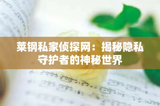莱钢私家侦探网：揭秘隐私守护者的神秘世界