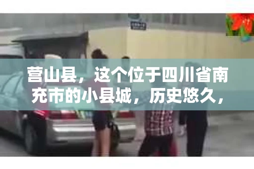 营山县，这个位于四川省南充市的小县城，历史悠久，风景秀丽。但在这个宁静的小县城里，你是否会好奇，有没有私家侦探的存在呢？今天，我就来和大家聊聊这个话题。