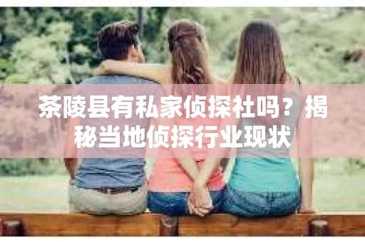 茶陵县有私家侦探社吗？揭秘当地侦探行业现状