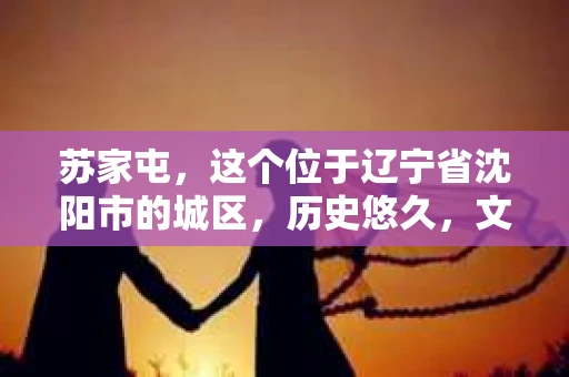 苏家屯，这个位于辽宁省沈阳市的城区，历史悠久，文化底蕴深厚。近年来，随着社会的发展，人们对于私家侦探的需求也逐渐增加。那么，苏家屯有私家侦探吗？今天，我们就来聊聊这个话题。