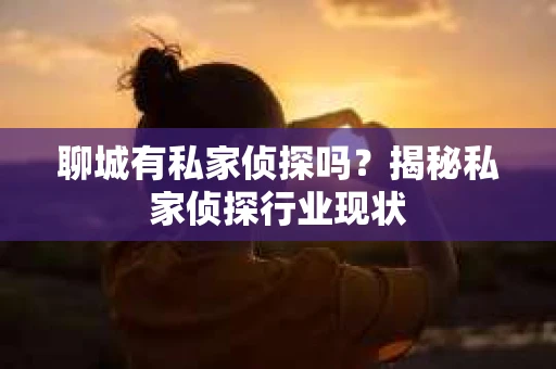 聊城有私家侦探吗?揭秘私家侦探行业现状 聊城有私家侦探吗?揭秘私家侦探行业现状