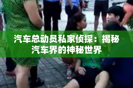汽车总动员私家侦探：揭秘汽车界的神秘世界