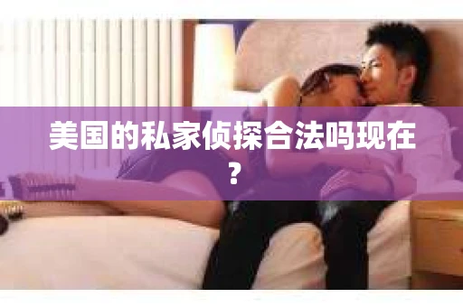 美国的私家侦探合法吗现在？