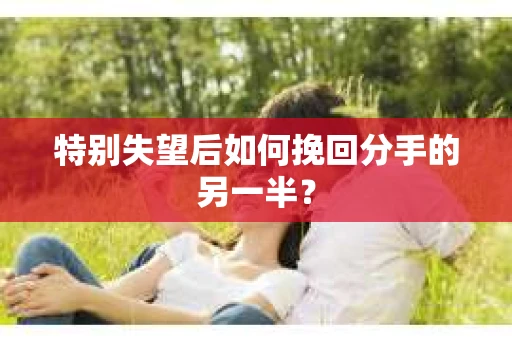 特别失望后如何挽回分手的另一半？