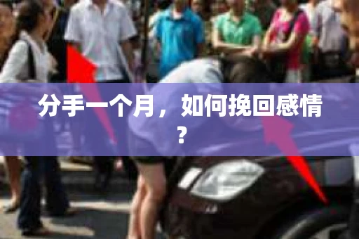 分手一个月,如何挽回感情? 分手一个月,如何挽回感情?
