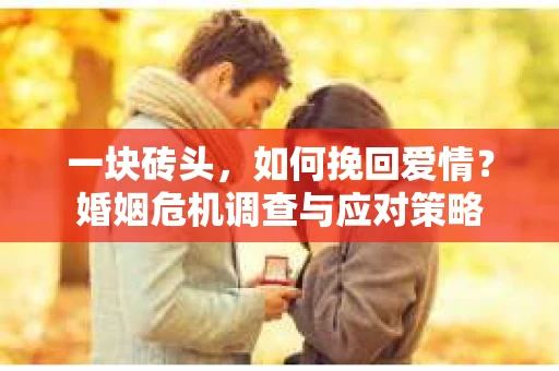 一块砖头，如何挽回爱情？婚姻危机调查与应对策略