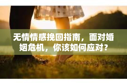 无情情感挽回指南，面对婚姻危机，你该如何应对？