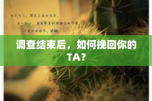 调查结束后，如何挽回你的TA？